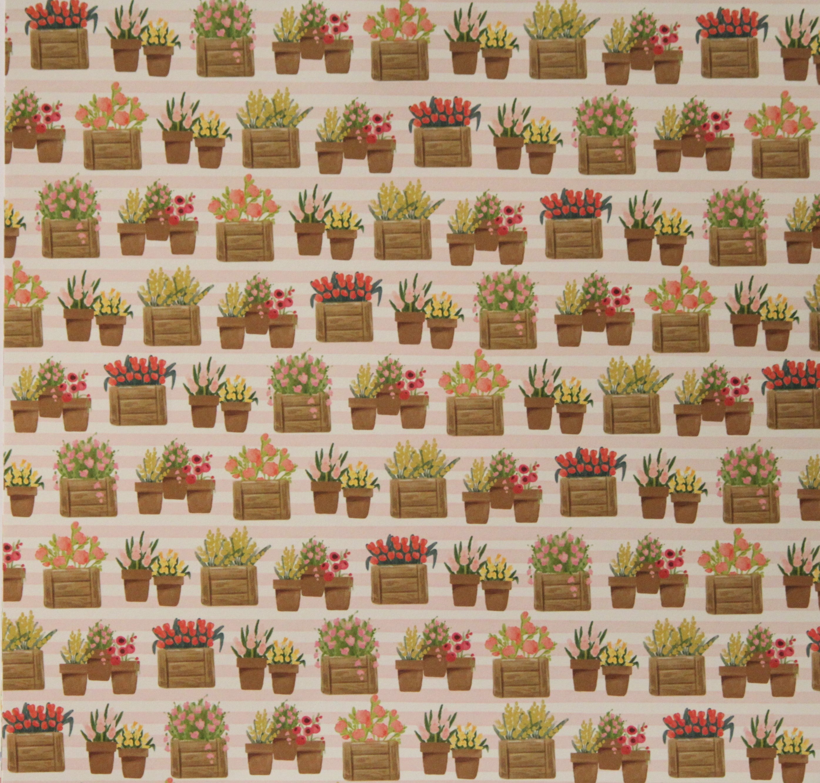 Carta Bella 12 x 12 Flower Market Flowers Assorted Flower Pots Cardstock Paper