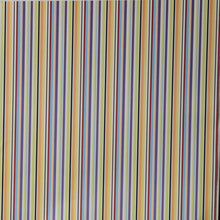 Nicole 12 x 12  Multi-Colored Lines Scrapbook Paper