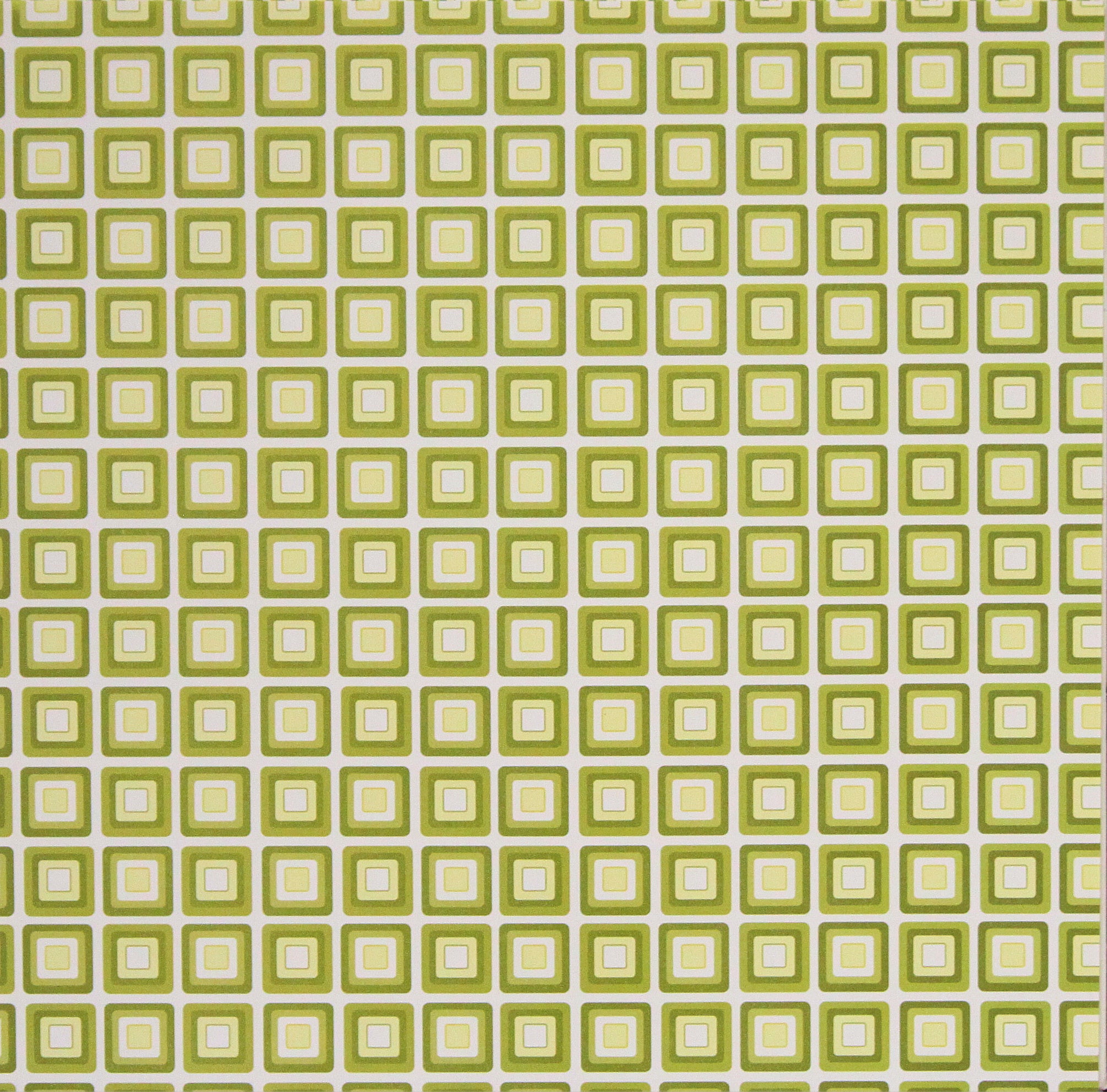 Nicole 12 x 12 Green Square Coordinates Scrapbook Paper