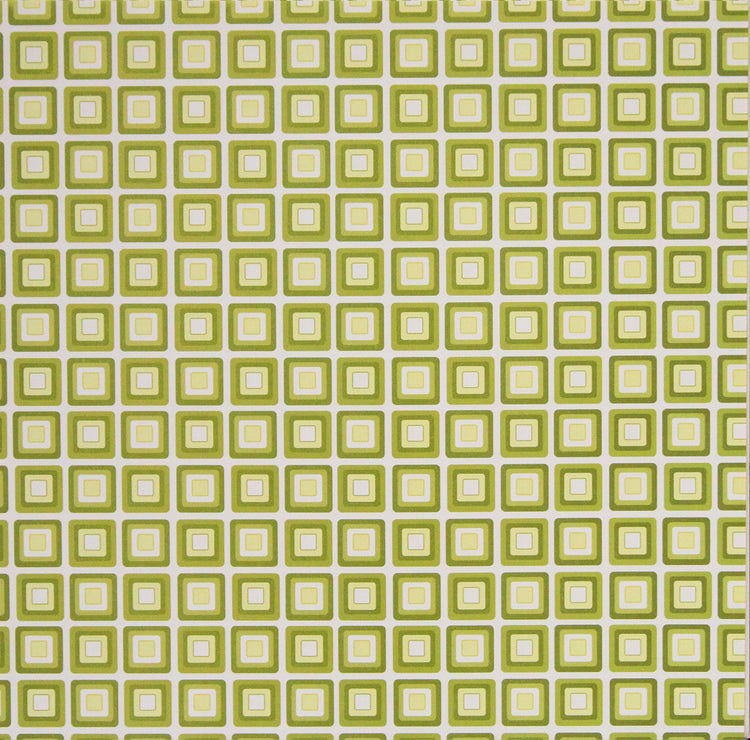 Nicole 12 x 12 Green Square Coordinates Scrapbook Paper