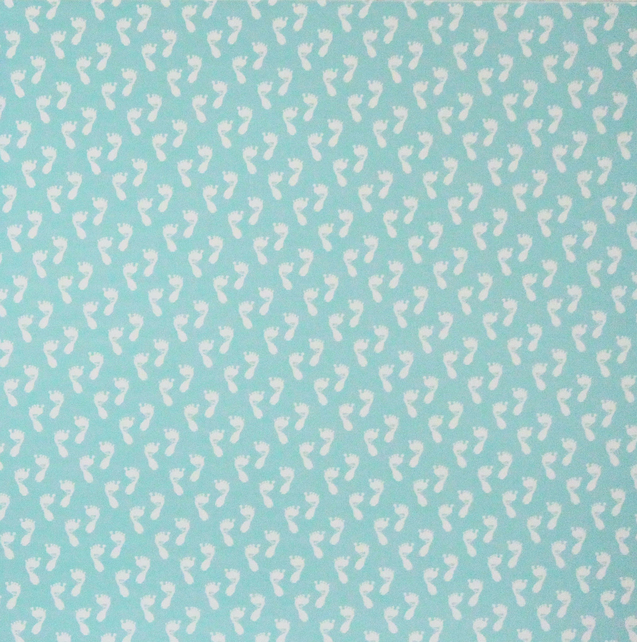 My Mind's Eye Footprints 12 X 12 Scrapbook Paper
