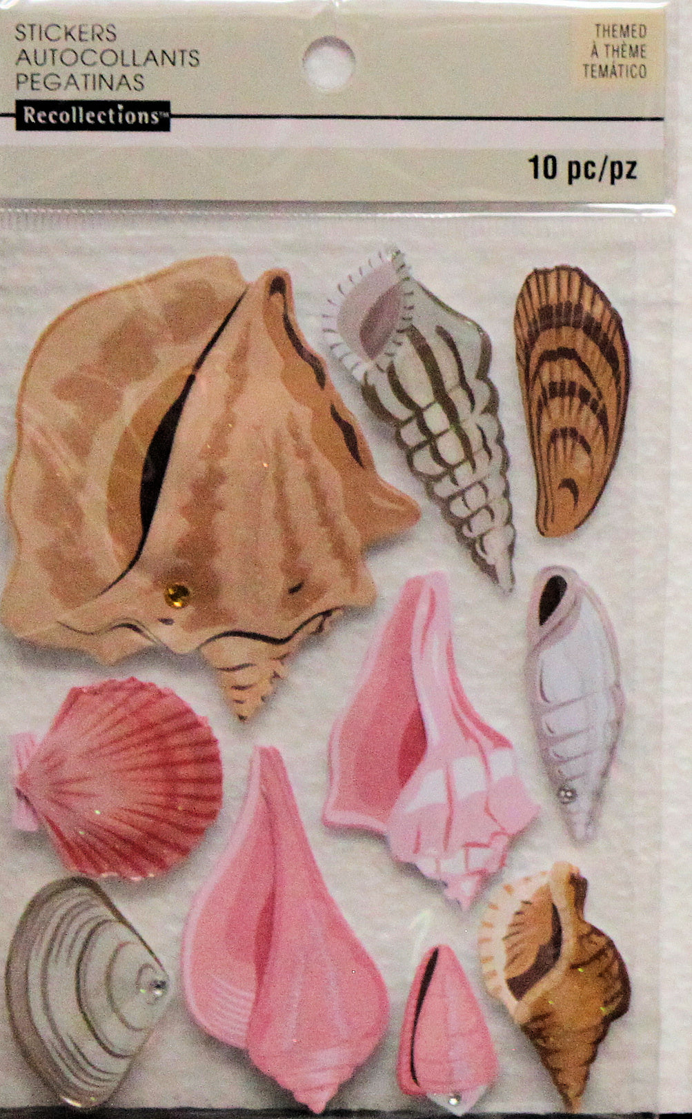 Recollections Sea Shells Dimensional Stickers
